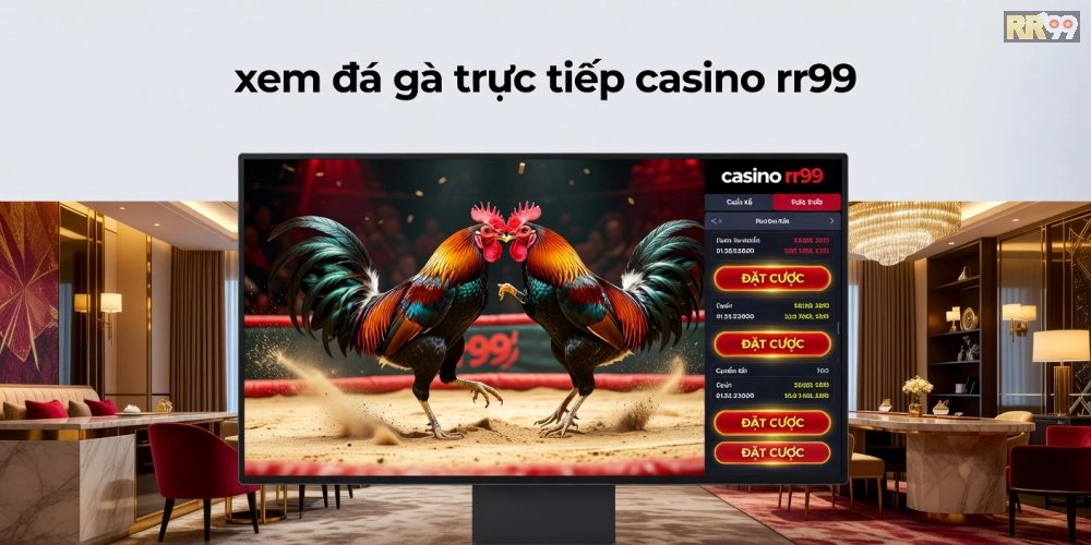 Minh họa khái niệm xem đá gà trực tiếp qua nền tảng casino rr99 với giao diện chuyên nghiệp